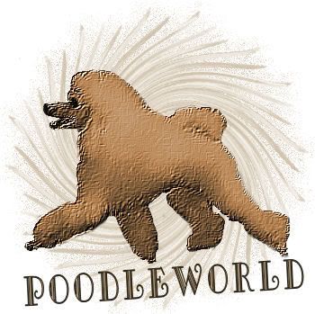 Poodleworld Hershey Bar