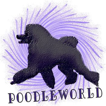 Poodleworld Gold Money