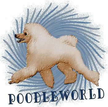 Poodleworld Snowstorm