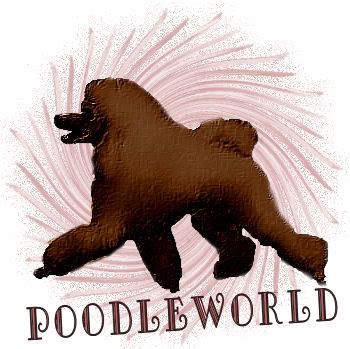 Poodleworld Red Mood