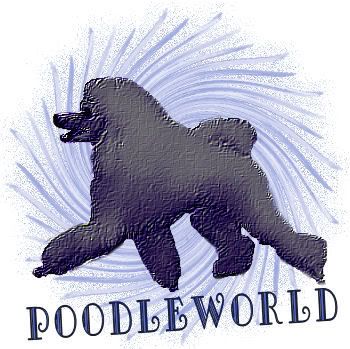 Poodleworld Gold Aura