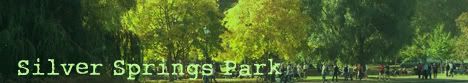 A place to run and play