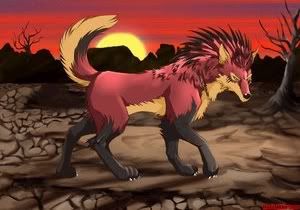 darkwolf.jpg Red wolf image by SheltieWolf