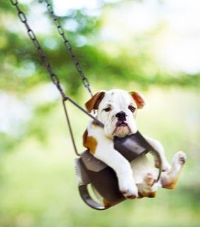 photo 1 swinging.jpga_zpsdpvuwr4c.jpg