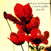 Flowers_by_SleepySh.png