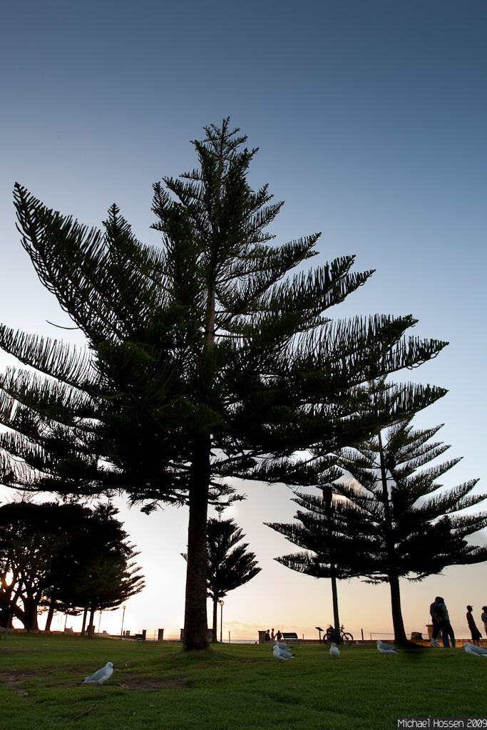 IMAGE: http://i297.photobucket.com/albums/mm240/Sinkrate/IMG_4388.jpg