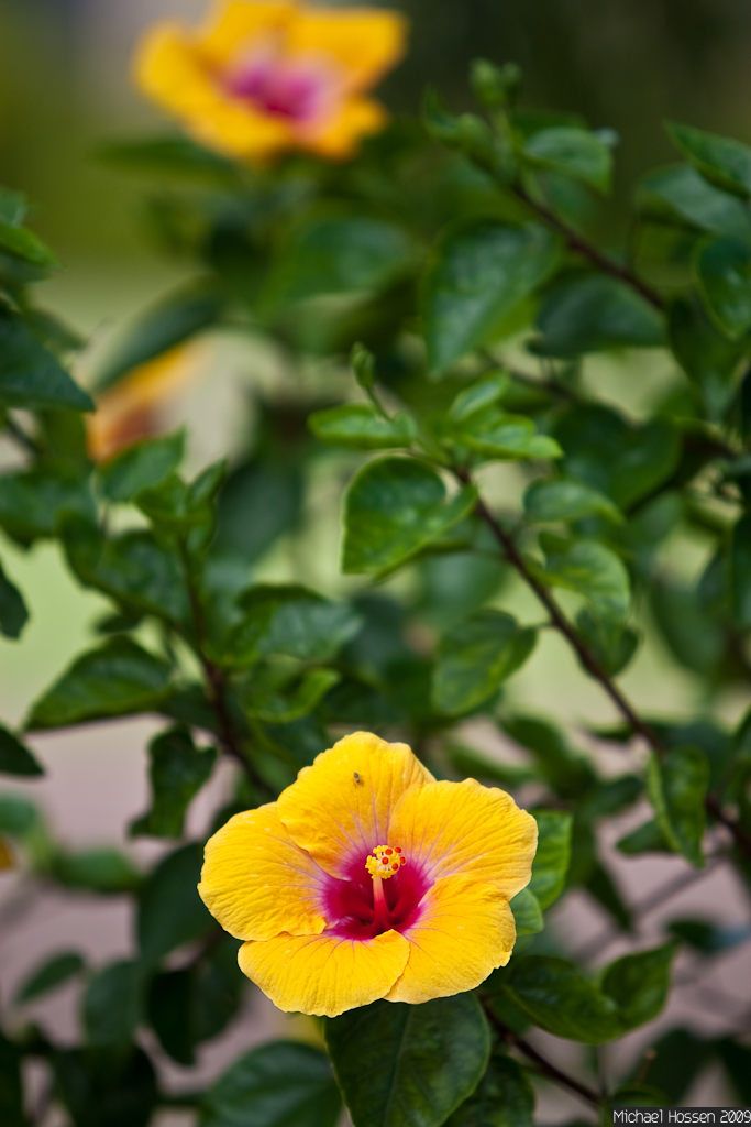 IMAGE: http://i297.photobucket.com/albums/mm240/Sinkrate/IMG_4507.jpg