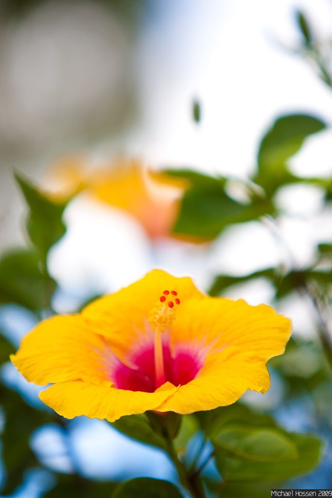 IMAGE: http://i297.photobucket.com/albums/mm240/Sinkrate/IMG_4517.jpg