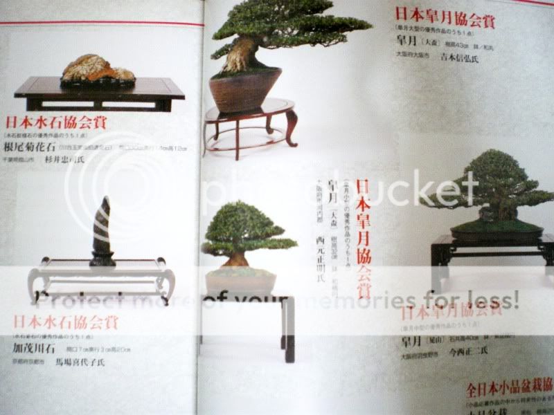   Care Pruning Bunjin Shohin Bonsai Pot Tree Tool Photo Book text  