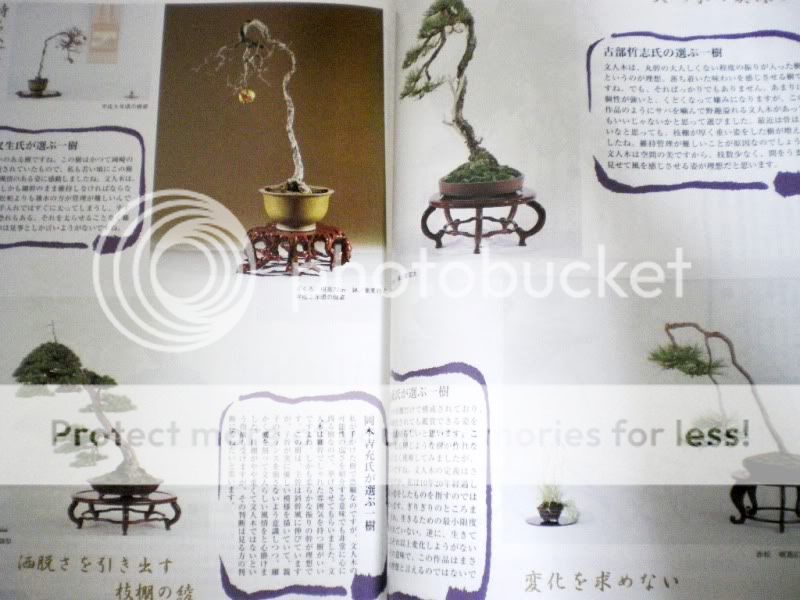   Care Pruning Bunjin Shohin Bonsai Pot Tree Tool Photo Book text  