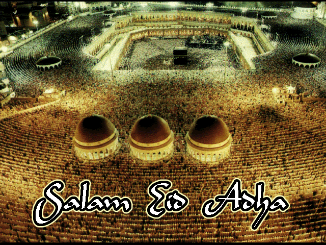 Haram4.gif