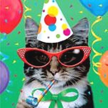 CatsMeowParty.jpg
